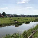 Strasbourg Trail